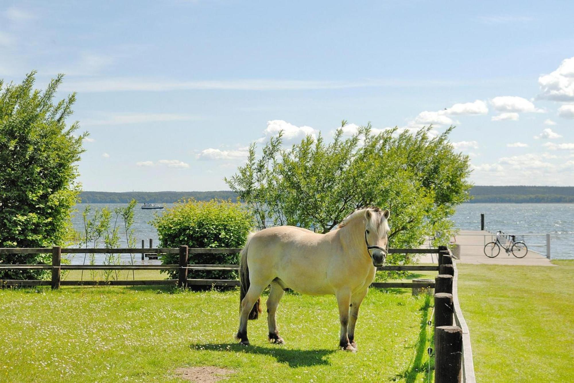 Seepark Heidenholz Plau Am See Kültér fotó